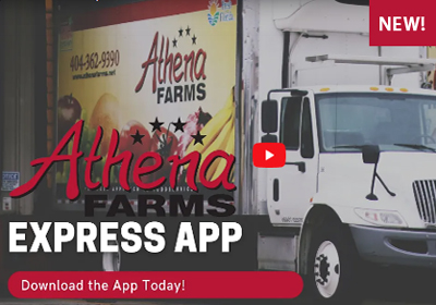 Athena Express App Download