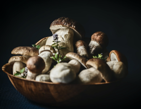 Athena Mushrooms