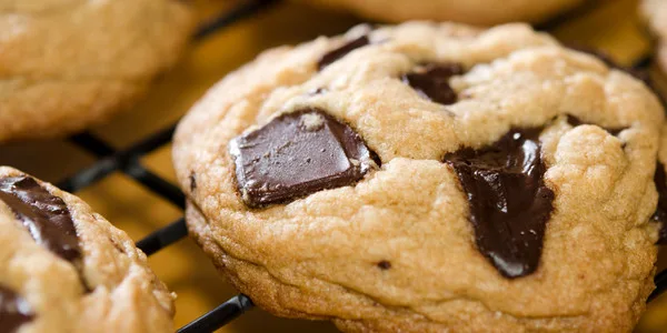 Golden-brown chocolate chip cookies with melted dark chocolate pieces, ideal for wholesale bakery and foodservice distribution.
